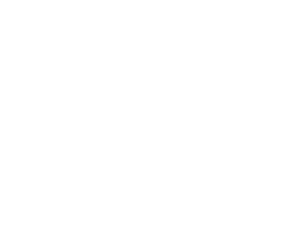 f288dd7e65f72a79407421904926f7ee291e0311